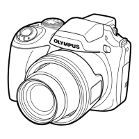 Preview: Olympus SP-590