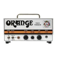 Preview: ORANGE Tiny Terror