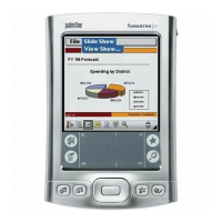 Preview: Palm Tungsten E2