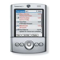 Preview: Palm Tungsten T2