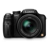 Preview: Panasonic Lumix DMC-FZ47