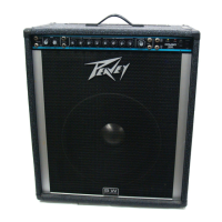Preview: Peavey Combo 300
