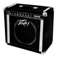Preview: Peavey Special