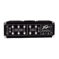 Preview: Peavey Standard