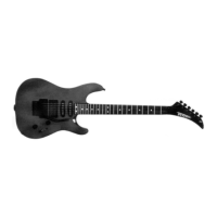 Preview: Peavey Tracer