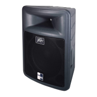 Preview: Peavey PR 15