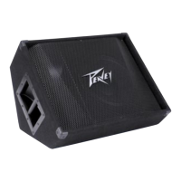 Preview: Peavey PV 12M