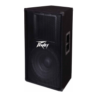 Preview: Peavey PV115