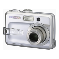 Preview: Pentax Optio E10
