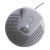 Microphone Logo