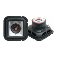 Preview: Pyle PLSQ10D