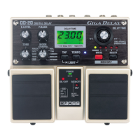 Preview: Boss Giga Delay DD-20