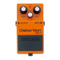 Preview: Boss DS-1