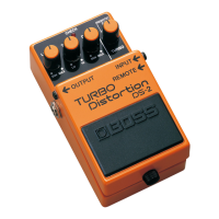 Preview: Boss DS-2