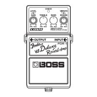 Preview: Boss FDR-1