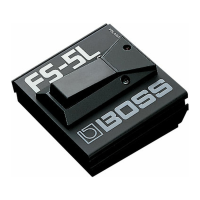 Preview: Boss FS-5L