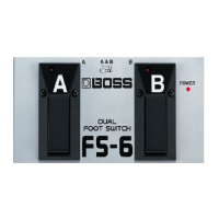 Preview: Boss FS-6