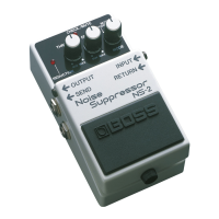 Preview: Boss NS-2 Noise Suppressor