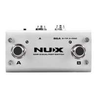 Preview: nux NMP-2