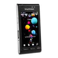 Preview: Sony Ericsson Satio