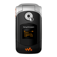 Preview: Sony Ericsson Walkman W300i