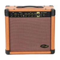 Preview: Stagg 40 AA R