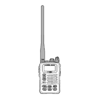 Preview: Standard Horizon HX460S