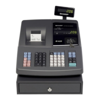 Preview: Sharp XE-A22S