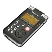 Preview: Tascam DR-1