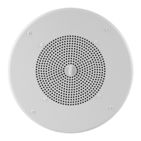 Preview: Valcom V-1020C