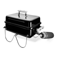 Preview: Weber Gas Go-Anywhere