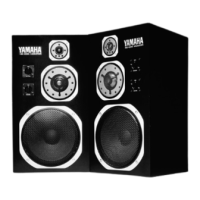 Preview: Yamaha NS-1000