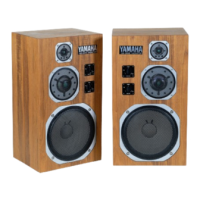Preview: Yamaha NS-1000