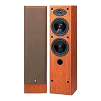 Preview: Yamaha NS-45E