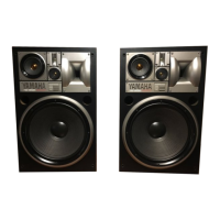 Preview: Yamaha NS-9595