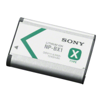 Preview: Sony NP-BX1