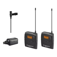 Preview: Sennheiser EW 100 G3