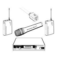 Preview: Sennheiser EW 500