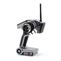 Preview: Spektrum DX2S