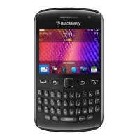 Preview: Blackberry Curve 9360