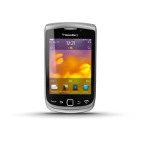 Preview: Blackberry Torch 9810