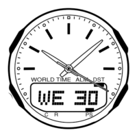 Preview: Casio 3353