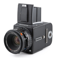 Preview: Hasselblad 501C