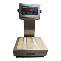 Preview: Doran 7000XL