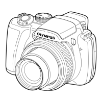Preview: Olympus SP-565
