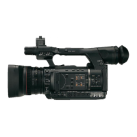 Preview: Panasonic AG-HPX250
