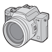 Preview: Panasonic Lumix DMC-FZ10