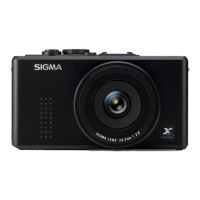Preview: Sigma DP2X