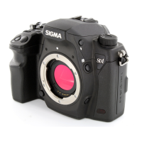 Preview: Sigma SD1 Merrill