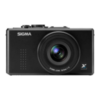 Preview: Sigma DP1s